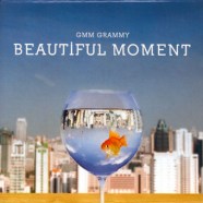 Various---Beautiful-Moment