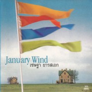 january-wind