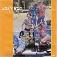 joey-boy-fun