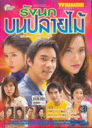 รังนกบนปลายไม้